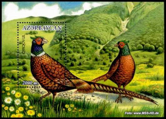 Stamp Issue Azerbaijan: Pheasant