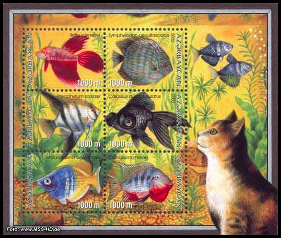 Stamp Issue Azerbaijan: Aquarium Fishes