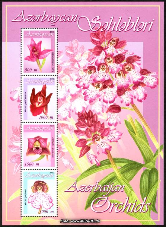 Stamp Issue Azerbaijan: Orchids - souvenir sheet