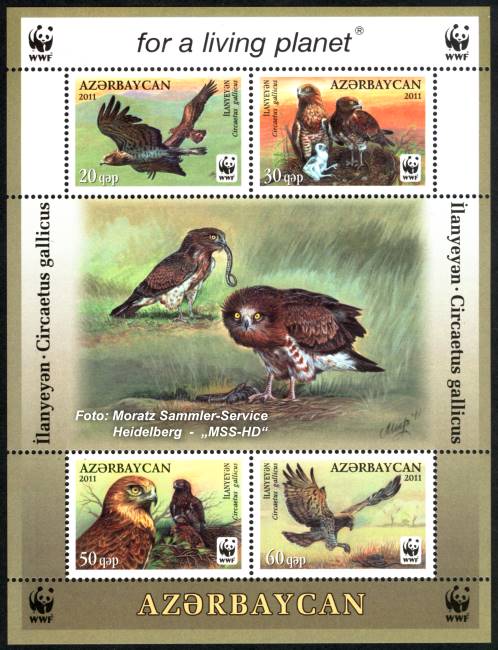 Stamp Issue Azerbaijan: WWF 2011, Short-toed snake eagle