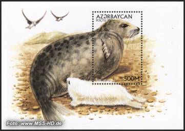Briefmarken-Ausgabe Aserbaidschan: Kaspische Robbe, Block 31
