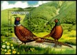 Azerbaijan 2000: 482 (s/s 42) Pheasant, MNH